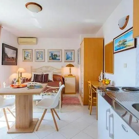 Sea Star ドゥブロブニク